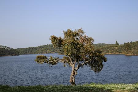 Barragem Trigo de Morais