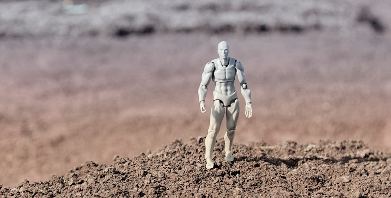 My action figures